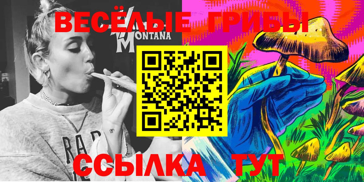 Гулькевичи  Галлюциногенные грибы мицелий  Галлюциногенные грибы мицелий  Вход с VPN 